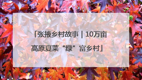 张掖乡村故事｜10万亩高原夏菜“绿”富乡村