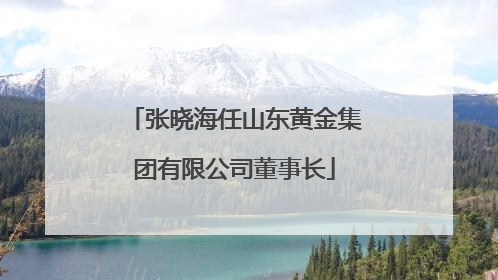 张晓海任山东黄金集团有限公司董事长