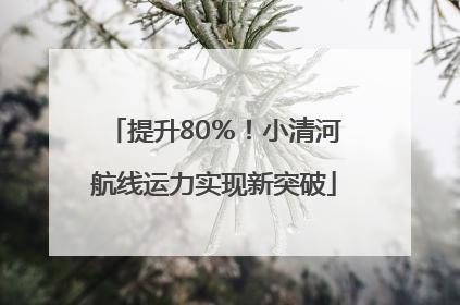提升80％！小清河航线运力实现新突破