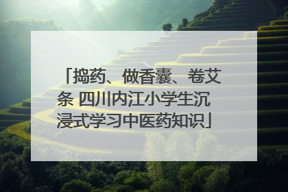 捣药、做香囊、卷艾条 四川内江小学生沉浸式学习中医药知识