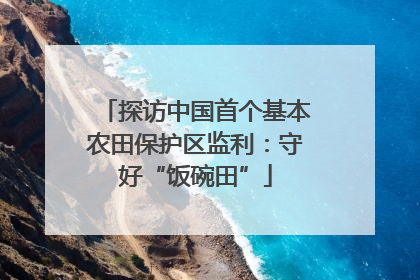 探访中国首个基本农田保护区监利：守好“饭碗田”