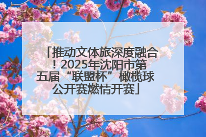 推动文体旅深度融合！2025年沈阳市第五届“联盟杯”橄榄球公开赛燃情开赛