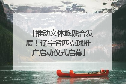 推动文体旅融合发展！辽宁省匹克球推广启动仪式启幕