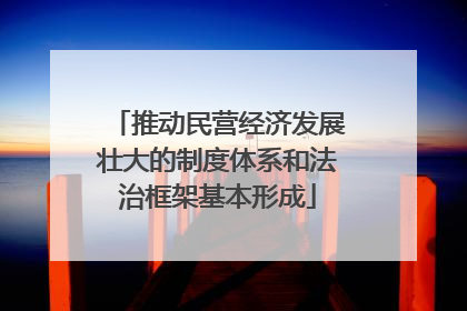推动民营经济发展壮大的制度体系和法治框架基本形成