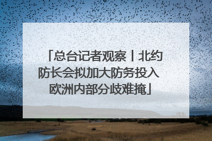总台记者观察丨北约防长会拟加大防务投入 欧洲内部分歧难掩