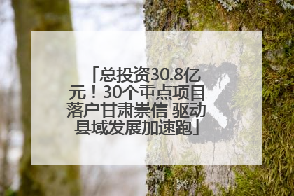 总投资30.8亿元！30个重点项目落户甘肃崇信 驱动县域发展加速跑
