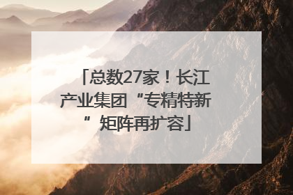总数27家！长江产业集团“专精特新”矩阵再扩容
