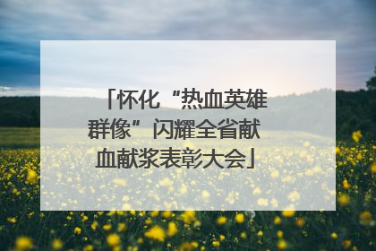 怀化“热血英雄群像”闪耀全省献血献浆表彰大会