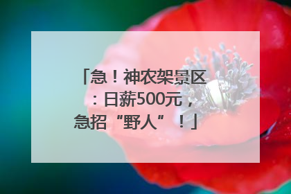 急！神农架景区：日薪500元，急招“野人”！