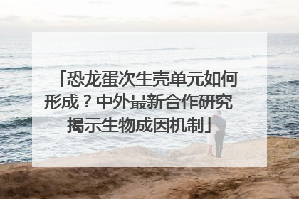 恐龙蛋次生壳单元如何形成？中外最新合作研究揭示生物成因机制
