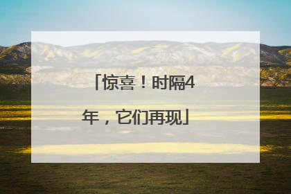 惊喜！时隔4年，它们再现