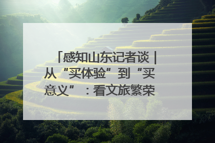 感知山东记者谈｜从“买体验”到“买意义”：看文旅繁荣背后的幸福新定义