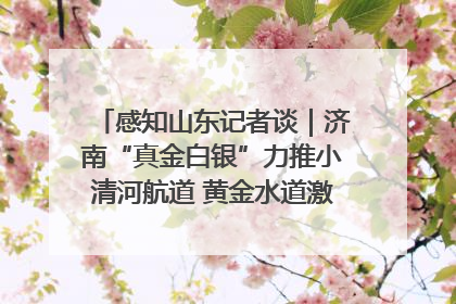 感知山东记者谈｜济南“真金白银”力推小清河航道 黄金水道激活区域经济新动能
