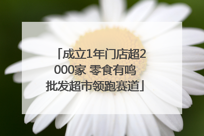 成立1年门店超2000家 零食有鸣批发超市领跑赛道