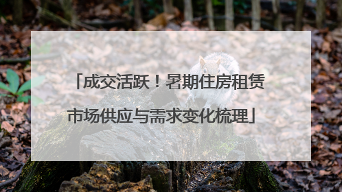 成交活跃！暑期住房租赁市场供应与需求变化梳理