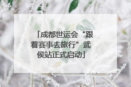 成都世运会“跟着赛事去旅行”武侯站正式启动
