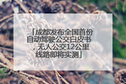 成都发布全国首份自动驾驶公交白皮书，无人公交12公里线路即将实测