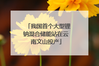 我国首个大型锂钠混合储能站在云南文山投产