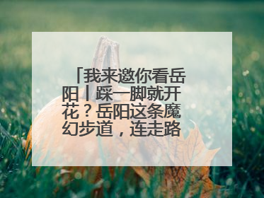 我来邀你看岳阳丨踩一脚就开花？岳阳这条魔幻步道，连走路都变得好玩！