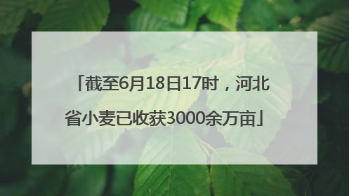 截至6月18日17时，河北省小麦已收获3000余万亩