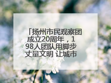 扬州市民观察团成立20周年，198人团队用脚步丈量文明 让城市更有温度