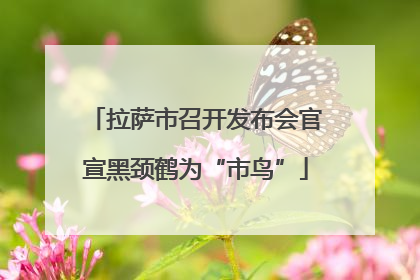 拉萨市召开发布会官宣黑颈鹤为“市鸟”