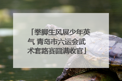 拳脚生风展少年英气 青岛市六运会武术套路赛圆满收官