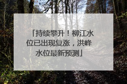 持续攀升！柳江水位已出现复涨，洪峰水位最新预测