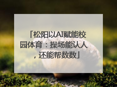 松阳以AI赋能校园体育：操场能认人，还能帮数数