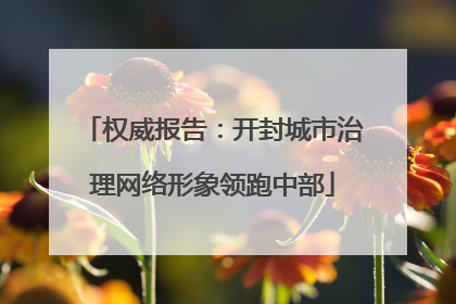权威报告：开封城市治理网络形象领跑中部
