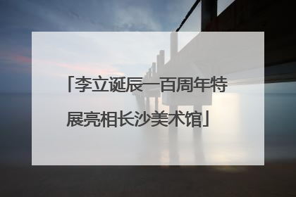 李立诞辰一百周年特展亮相长沙美术馆