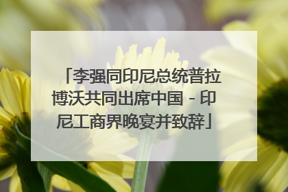 李强同印尼总统普拉博沃共同出席中国－印尼工商界晚宴并致辞
