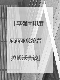 李强同印度尼西亚总统普拉博沃会谈