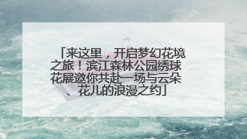来这里，开启梦幻花境之旅！滨江森林公园绣球花展邀你共赴一场与云朵、花儿的浪漫之约