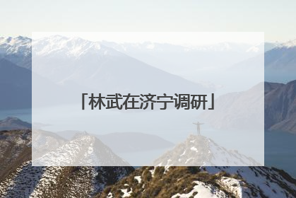 林武在济宁调研