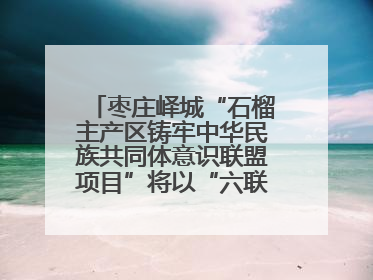 枣庄峄城“石榴主产区铸牢中华民族共同体意识联盟项目”将以“六联”活动为抓手深化品牌建设