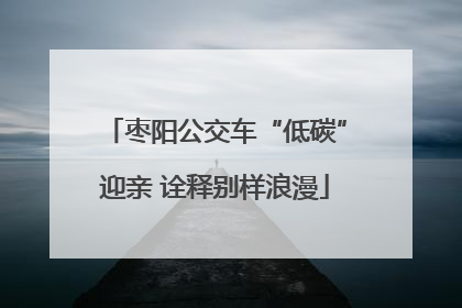枣阳公交车“低碳”迎亲 诠释别样浪漫