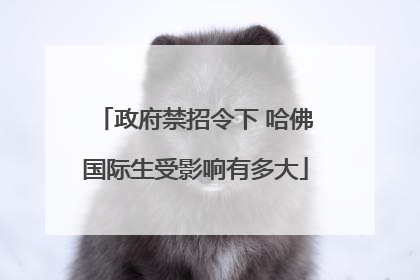 政府禁招令下 哈佛国际生受影响有多大