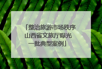 整治旅游市场秩序 山西省文旅厅曝光一批典型案例
