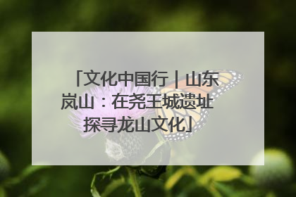 文化中国行｜山东岚山：在尧王城遗址探寻龙山文化