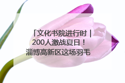 文化书院进行时｜200人激战夏日！淄博高新区这场羽毛球比赛太酷