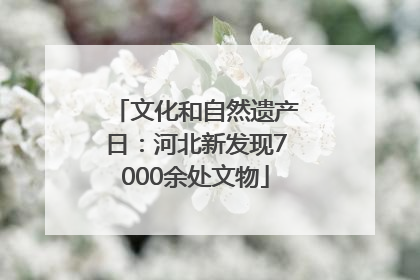 文化和自然遗产日：河北新发现7000余处文物