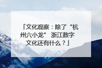 文化观察：除了“杭州六小龙” 浙江数字文化还有什么？