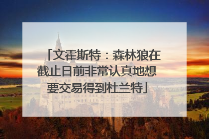 文霍斯特：森林狼在截止日前非常认真地想要交易得到杜兰特