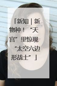 新知｜新物种！“天宫”里惊现“太空六边形战士”