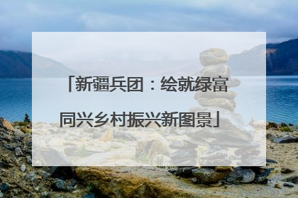 新疆兵团：绘就绿富同兴乡村振兴新图景