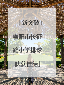 新突破！襄阳市长征路小学排球队获佳绩
