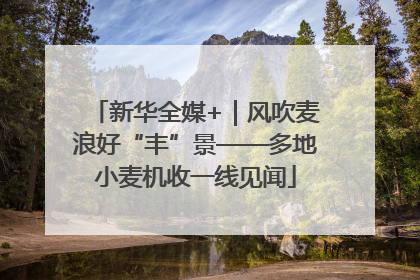 新华全媒+｜风吹麦浪好“丰”景——多地小麦机收一线见闻