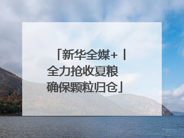 新华全媒+丨全力抢收夏粮 确保颗粒归仓