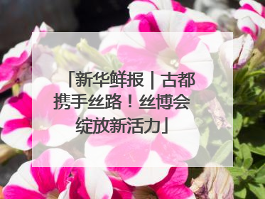 新华鲜报｜古都携手丝路！丝博会绽放新活力